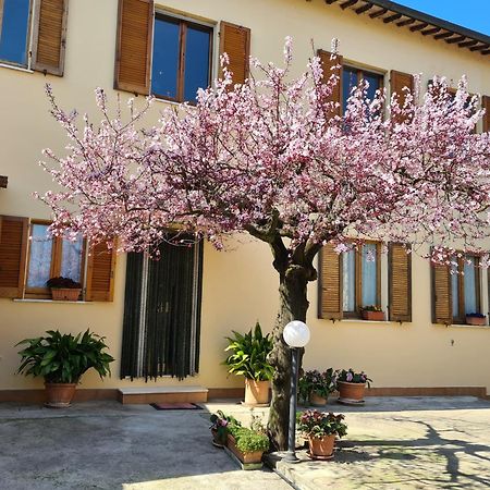 Cannara B&B Barbara Assisi מראה חיצוני תמונה