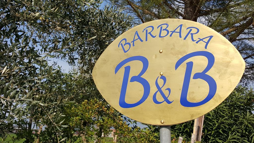 Cannara B&B Barbara Assisi מראה חיצוני תמונה