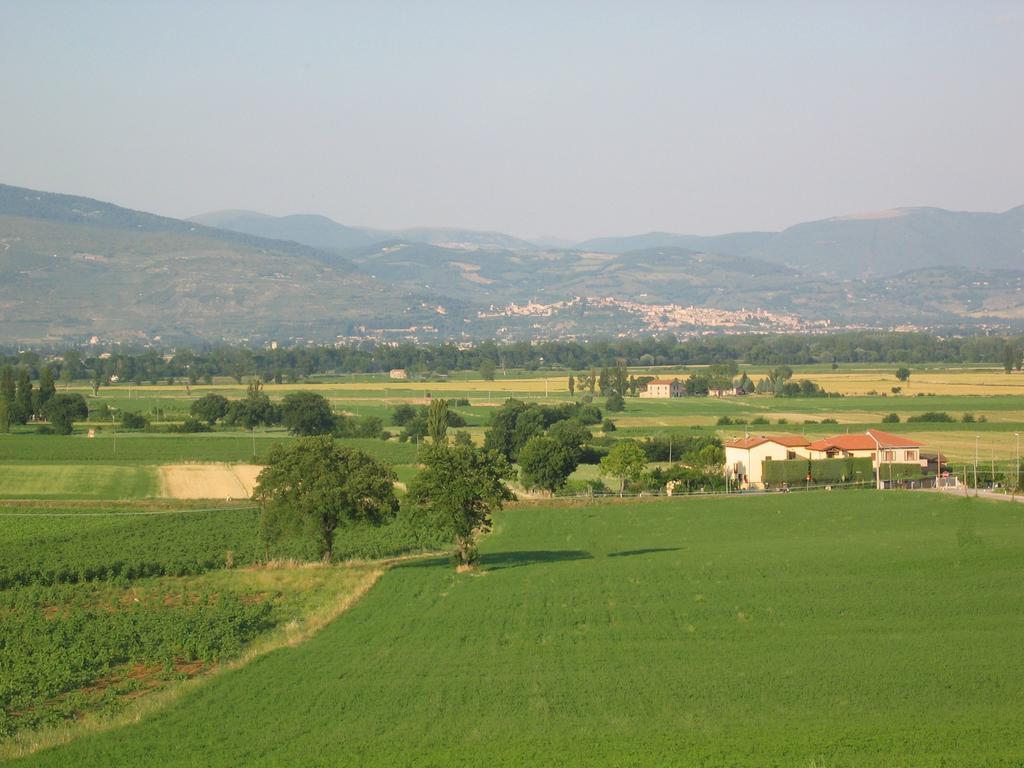 Cannara B&B Barbara Assisi מראה חיצוני תמונה